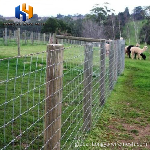 Farm Fence welded wire mesh metal posts farm fence Supplier